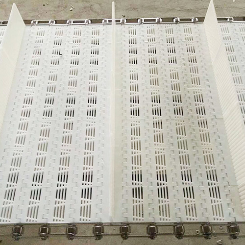 塑料模塊輸送帶